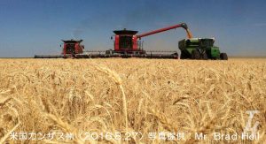 カンザス州の小麦の収穫